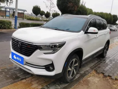 2021 Dongfeng Fengxing T5 1.6L Manual Premium Edition, фото 1, лот 11160735
