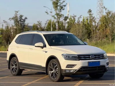 2019 Volkswagen Tiguan L 380TSI Auto AWD Smart Luxury Edition China V, фото 3, лот 10424952