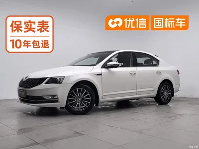 2019 Škoda Octavia TSI230 DSG Zhixing Luxury Edition China VI, фото 1, лот 10902438