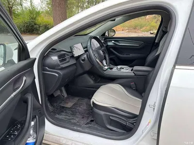 2023 BYD Destroyer 05 Champion Edition DM-i 55KM Luxury, фото 4, лот 10894957
