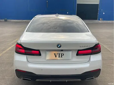 2023 BMW 5 Series 530Li Leading M Sport Package, фото 4, лот 10479300