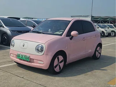 2021 Ora Black Cat 301km Pet Edition, фото 1, лот 10332229