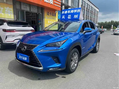 2018 Lexus NX Model 300 FWD Fengxing Edition, фото 1, лот 10313612