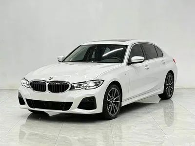 2020 BMW 3 Series 320Li M Sport Package, фото 2, лот 11182363