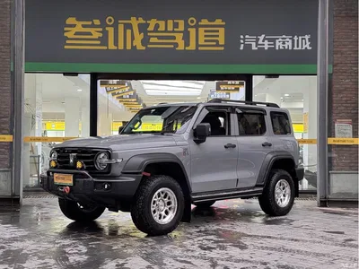 2021 Tank 300 Off-road Version 2.0T Conqueror, фото 1, лот 11475294