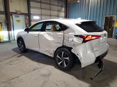 2021 LEXUS NX 300H LUXURY, фото 2, лот 10901014