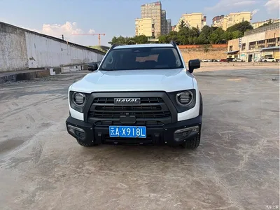 2022 Haval Big Dog 2.0T DCT 4WD Chinese Rural Dog Hunting Edition, фото 2, лот 10361654