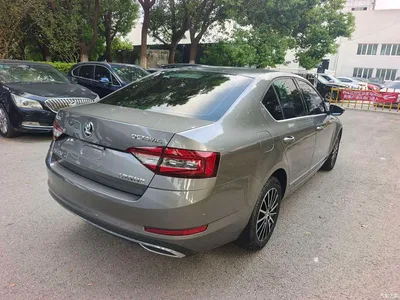 2019 Škoda Octavia TSI230 DSG Zhixing Luxury Edition China VI, фото 4, лот 11168262