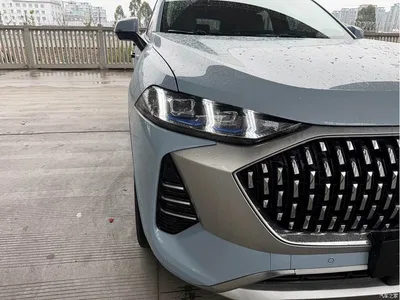 2021 WEY Mocha 2.0T 4WD Premium Edition, фото 4, лот 11155302