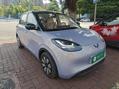 2025 Wuling Motors Wuling Bingo Model 333km Smart Premium, фото 4, лот 10370578