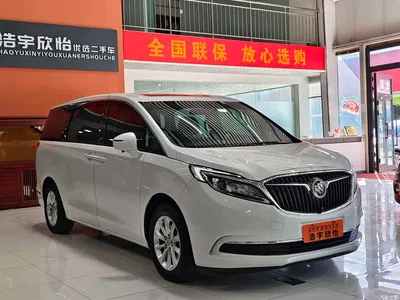 2018 Buick GL8, фото 3, лот 10243815