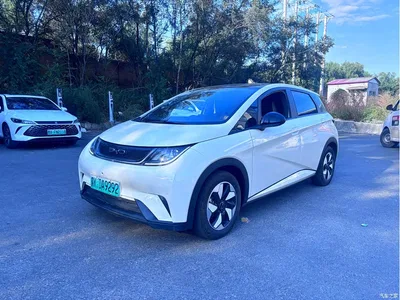 2023 BYD Dolphin 420km Fashion Edition, фото 1, лот 10256681