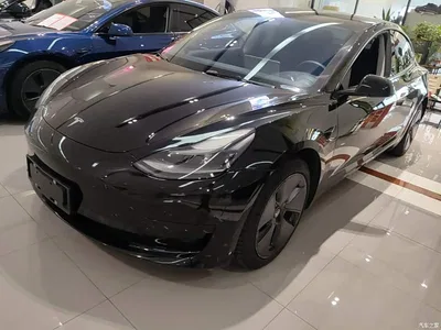 2021 Tesla Model 3 Standard Range Rear-Wheel Drive Upgrade 3D6, фото 1, лот 11241869
