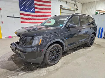 2025 KIA TELLURIDE SX-PRESTIGE X-LINE, фото 1, лот 10775547