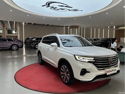 2019 Roewe RX5 MAX 300TGI Automatic Smart Cockpit Flagship Edition, фото 3, лот 10766014