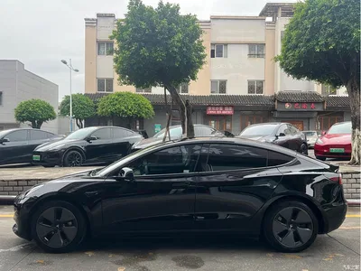 2022 Tesla Model 3 Model Rear-Wheel Drive Version, фото 4, лот 10450266