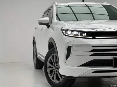 2024 Exeed Windchaser Model 1.5T CVT Lucky Peanut Edition, фото 4, лот 11152137