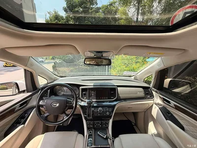 2018 GAC Trumpchi Trumpchi M8 320T Premium Edition, фото 4, лот 10415209