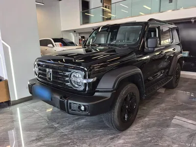 2024 Tank 300 2.0T Conqueror, фото 1, лот 10387625