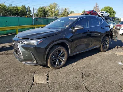 2026 LEXUS NX 450H+ LUXURY, фото 1, лот 10904824