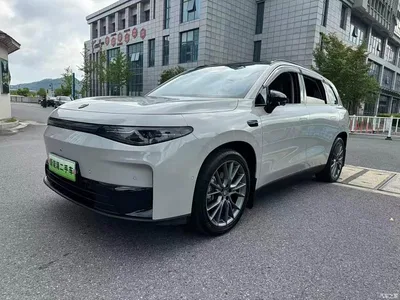 2024 Leapmotor C10 530 Smart Edition, фото 1, лот 10696804