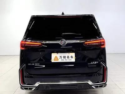 2023 Buick GL8 ES Landmaster Exclusive, фото 4, лот 10249723
