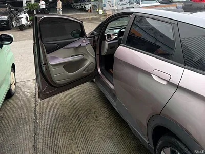 2021 BYD Dolphin 401km Knight Edition, фото 3, лот 10257601