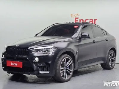 2017 BMW X6M 4.4, фото 1, лот 10081833