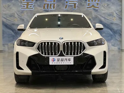 2023 BMW X6 xDrive30i M Sport Package, фото 2, лот 10626046