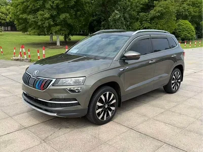 2019 Škoda Karoq TSI280 Smart Drive Luxury Edition China V, фото 1, лот 10356632