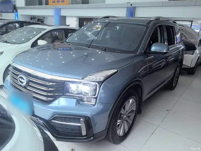 2020 GAC Trumpchi Trumpchi GS8 390T 2WD Luxury Smart Connect Anniversary Edition (7-Seater), фото 2, лот 10421763