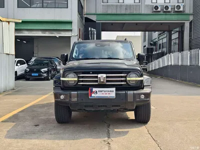 2023 Tank 300 Urban Edition 2.0T Very Stylish, фото 2, лот 11197924