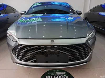 2023 BYD Qin PLUS Champion Edition DM-i 55KM Leading, фото 2, лот 11089019
