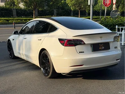 2019 Tesla Model 3 (Import) Performance High-Efficiency All-Wheel Drive Version, фото 4, лот 10397763