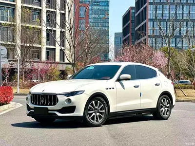 2019 Maserati Levante 3.0T Standard Edition China VI, фото 1, лот 10321675