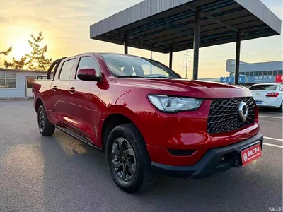 2021 Great Wall Pao 2.0T Commercial Edition Automatic Diesel 4WD Elite Long Box GW4D20M, фото 3, лот 10245685