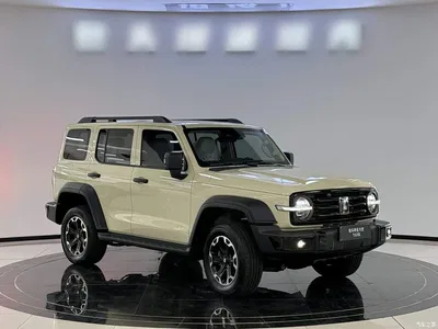2025 Tank 300 New Energy Hi4-T, фото 4, лот 10345507