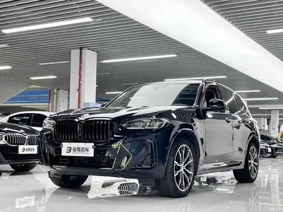 2022 BMW X3 Facelift xDrive30i Leading M Shadow Edition, фото 1, лот 10237516