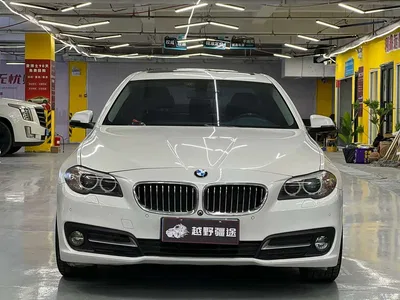 2014 BMW 5 Series (Import) 520i Classic, фото 2, лот 11211565