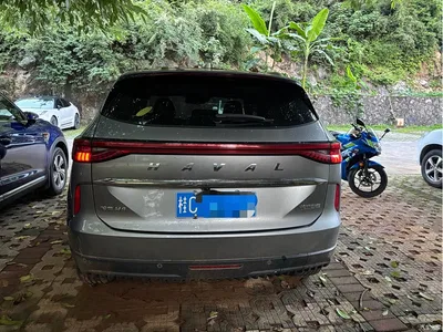 2021 Haval H6 3rd Generation 1.5T Auto 2WD Max, фото 4, лот 10281465
