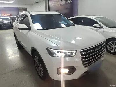 2020 Haval H6 2.0GDIT Automatic Platinum Champion Edition, фото 4, лот 10285912