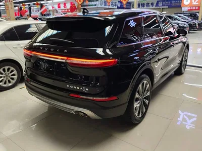 2022 Lincoln Adventurer 2.0T FWD Premium Luxury Edition, фото 3, лот 10672189