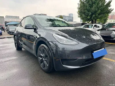 2024 Tesla Model Y Rear-Wheel Drive Version, фото 1, лот 11138296
