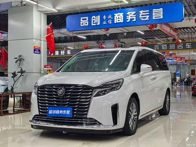 2023 Buick GL8 ES Landmaster Exclusive, фото 1, лот 11181629