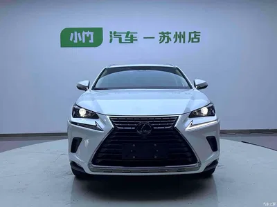 2020 Lexus NX 200 AWD F Sport China VI, фото 2, лот 10317733