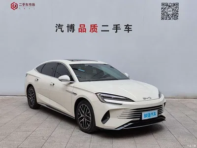 2025 BYD Seal 07 DM-i DM-i 1.5L 125km Premium, фото 3, лот 10252946