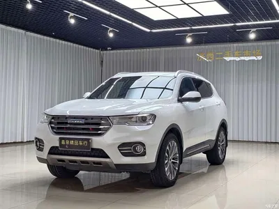 2017 Haval H6 Blue Label 2.0T Automatic 2WD Smart Edition, фото 1, лот 11133030