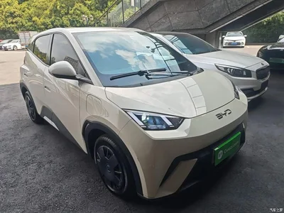 2024 BYD Seagull Glory Edition 305km Vitality Edition, фото 4, лот 10812714