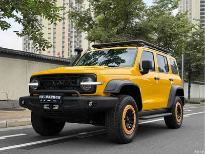 2022 Tank 300 2.0T Border Limited Edition, фото 1, лот 10344155