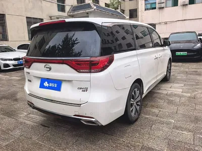 2018 GAC Trumpchi Trumpchi M8 320T Premium Edition, фото 3, лот 10417024